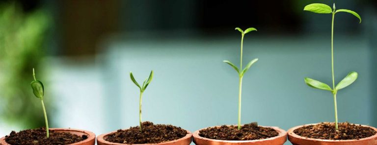 20 bài học đắt giá từ các startup thất bại trong năm 2015