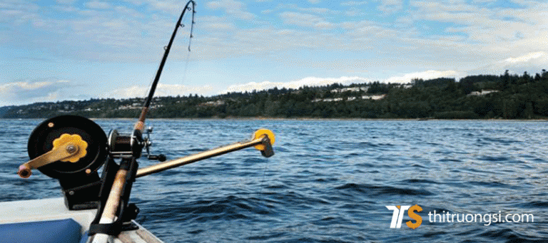 bai hoc kinh doanh tu luoi cau ca