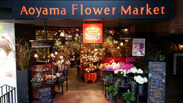 shop hoa