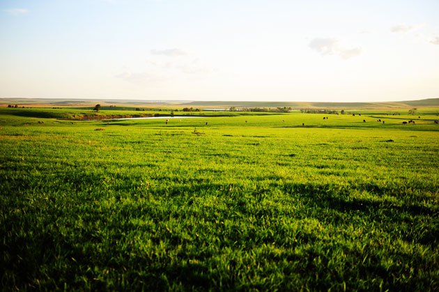 Gợi ý làm giàu từ miền quê