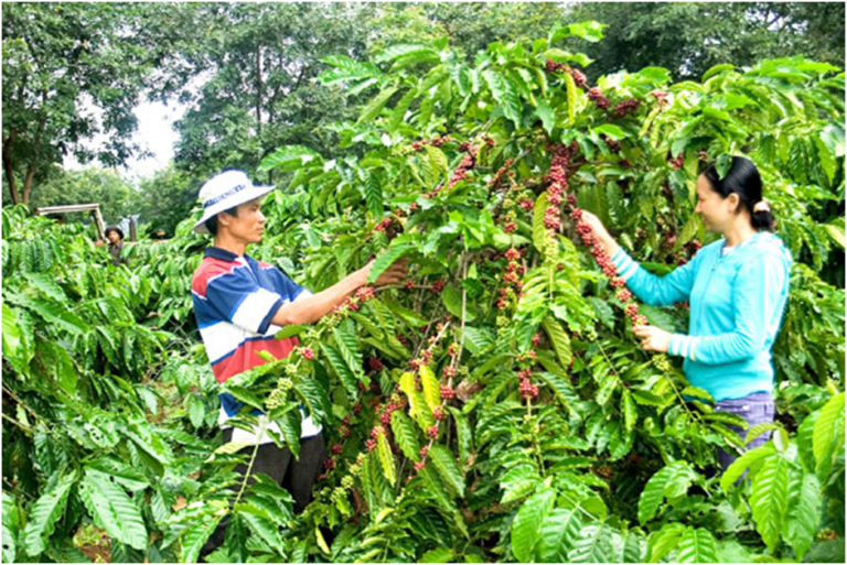 Gợi ý xu hướng làm giàu nhanh tại nông thôn hiện nay