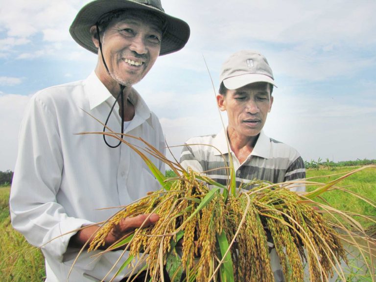 Các loại hình dịch vụ dễ làm giàu tại nông thôn hiện nay