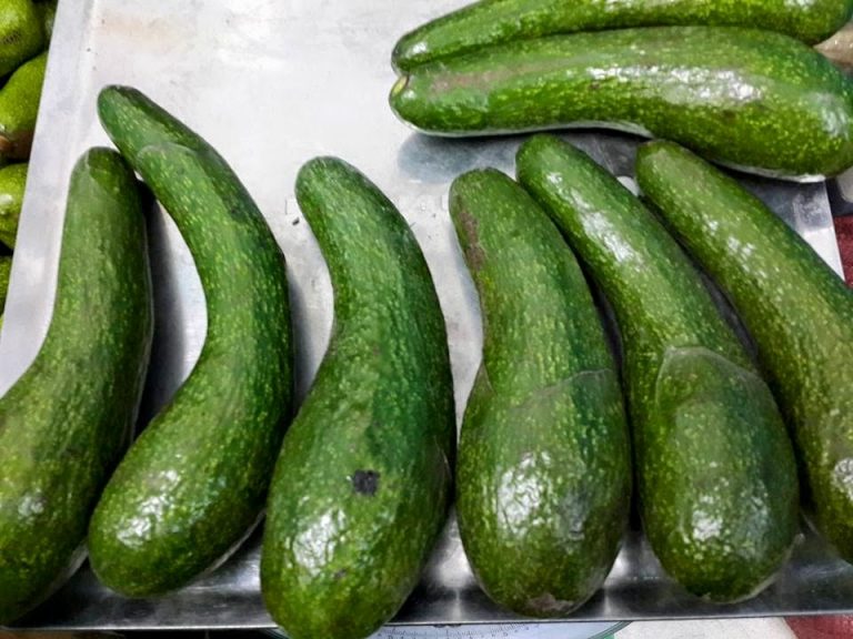 Bơ dài gần nửa mét cháy hàng