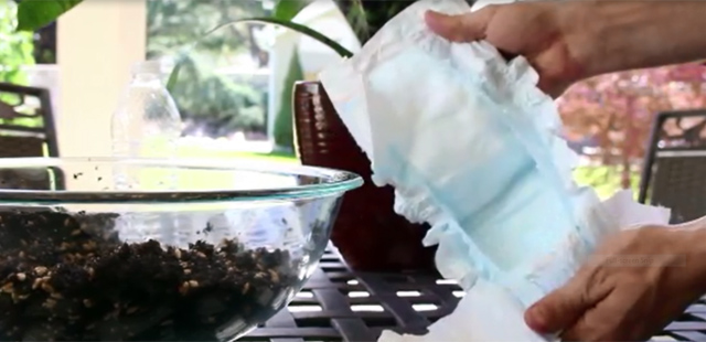 Chuyện thật như đùa: Dùng bỉm trồng rau, bia tưới nấm