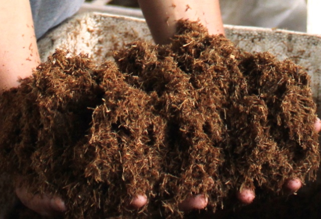 Độc đáo dự án khởi nghiệp từ bột bã mía của chàng trai 8X