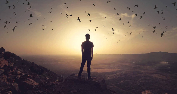 Hãy cứ theo đuổi đam mê đi và thất nghiệp sẽ theo đuổi bạn