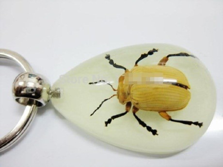 Những loại móc khóa độc nhất vô nhị