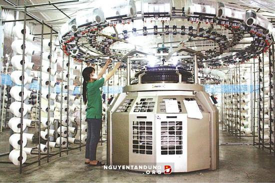 Doanh nghiệp bị đóng cửa vì 'tự ý đầu tư máy móc hiện đại'