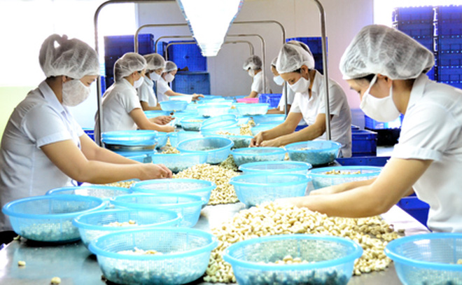 Thị trường hạt điều khởi sắc