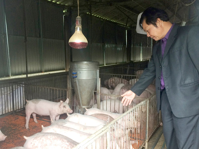 Rẽ trái làm nông