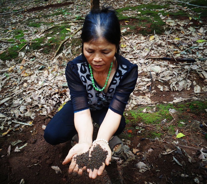 Đường đi lòng vòng phân bón giả