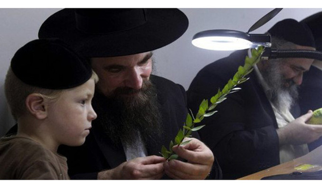 Ông bố Do Thái dạy con 1+1 > 2 và sau này cậu bé trở thành CEO nổi tiếng: Bài học về tư duy khác biệt của người giàu