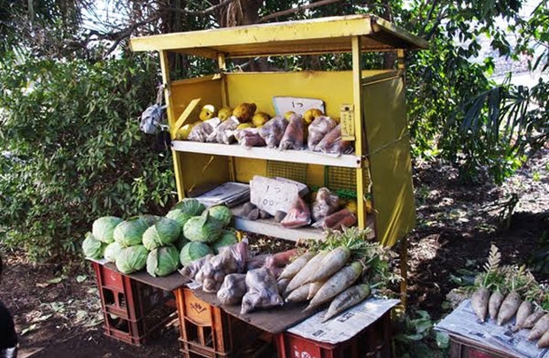 Nhật Bản: Độc đáo những cửa hàng không người bán