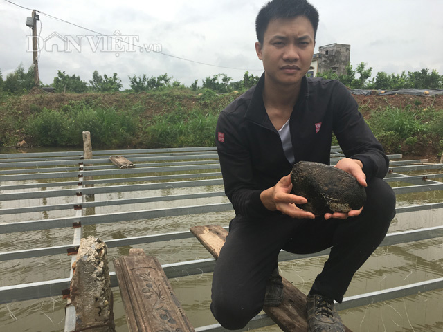 Kỳ công nuôi "đàn ngậm miệng nhả ngọc" , trai làng 9X thu tiền tỷ