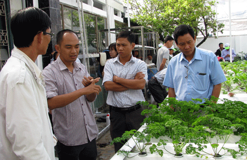Siêu độc đáo: Làm vườn bằng công nghệ… điện toán đám mây