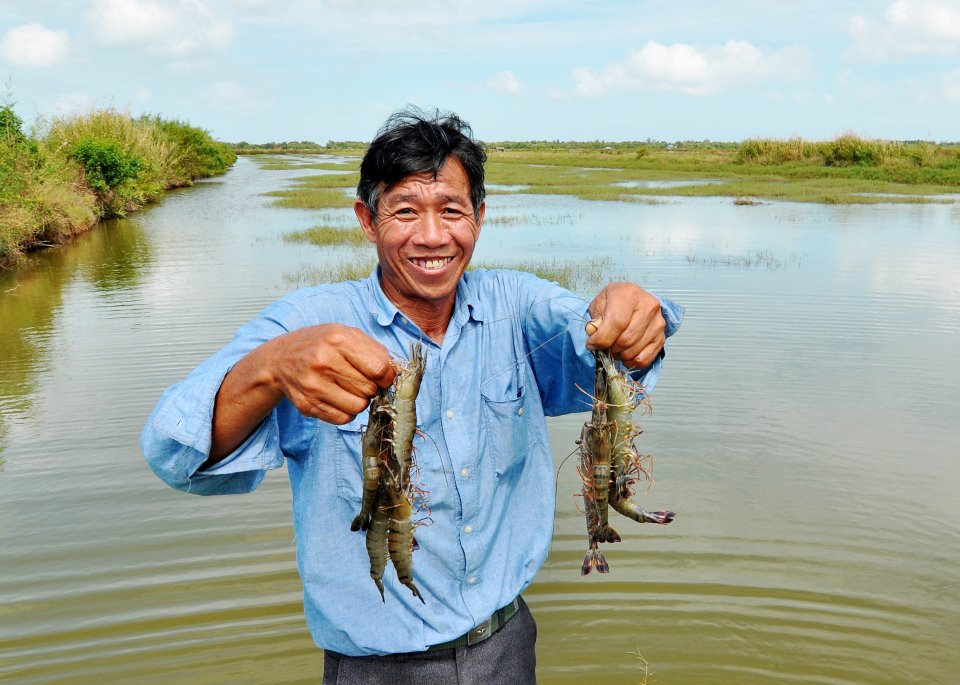 Ông Nguyễn Trần Lĩnh phấn khởi bên cánh đồng lớn nuôi tôm quảng canh cải tiến ít thay nước cho năng suất trên 300kg/ha/vụ.