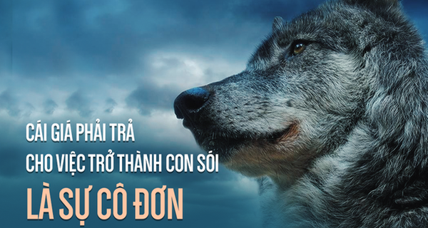 Sói đầu đàn: 6 phẩm chất "sống còn", đọc xong bạn ngẫm thế nào về con đường mình chọn?