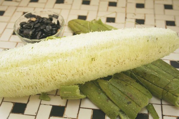 Câu chuyện lạ kỳ của chàng trai phố núi đem xơ mướp đi... xuất khẩu