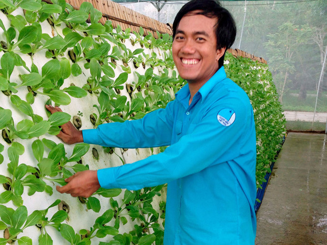 Mô hình trồng rau sạch