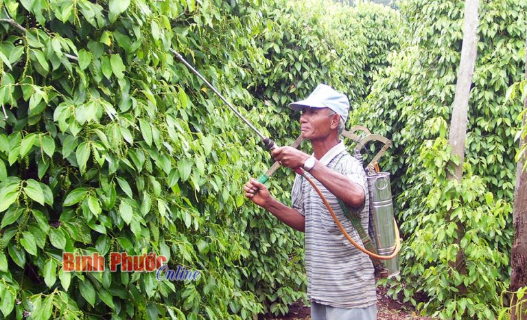 126 loại thuốc trúng thầu ở Bình Định cao ngất ngưởng