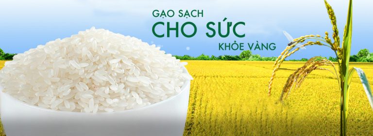 Xuất khẩu gạo tiếp tục phụ thuộc vào Trung Quốc