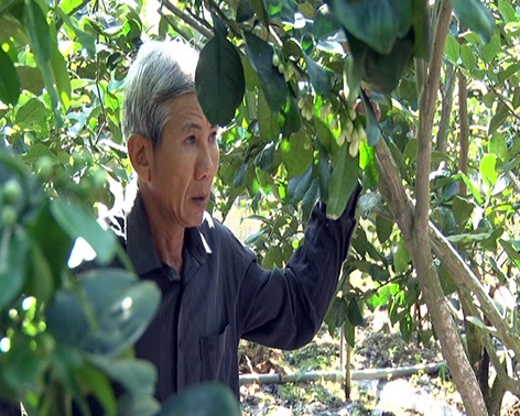 Bí quyết thành công của Lương Tâm