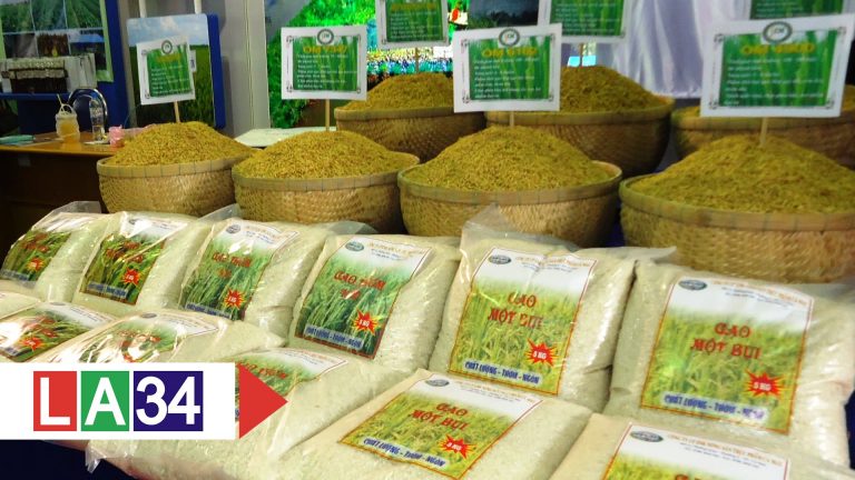 Gạo Việt Nam chính thức "cập cảng" Bangladesh