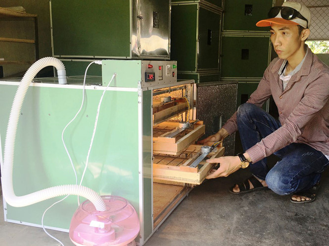 Chàng trai chế máy ấp trứng tự động, thu hàng trăm triệu đồng