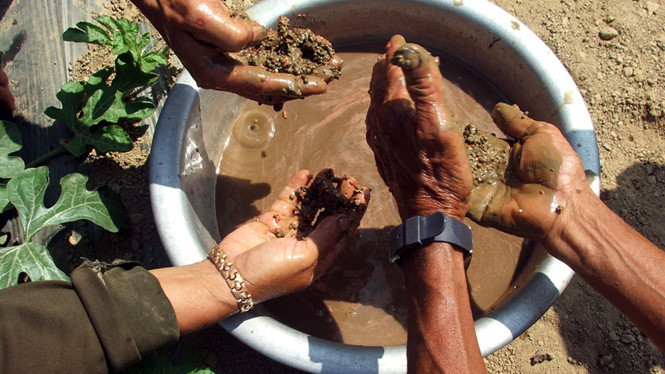 Đủ chiêu trò 'ma quỷ' kinh doanh phân bón để lừa gạt dân nghèo!