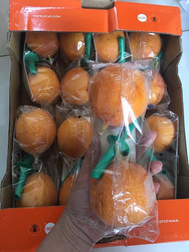 Chanh leo Colombia đắt gấp trăm lần chanh leo thường nhưng vẫn "đắt như tôm tươi"