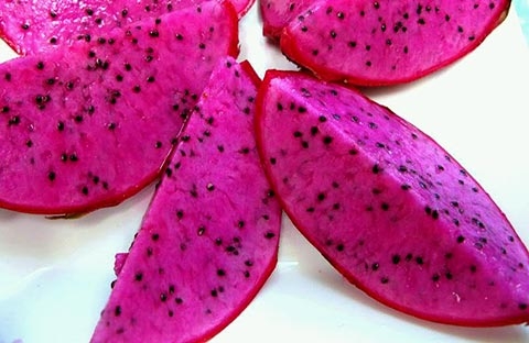 Thanh long ruột tím “đuổi nghèo” trên đất Bắc