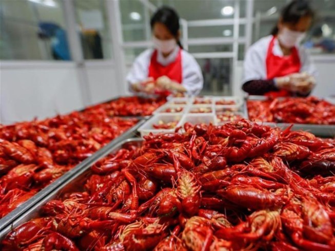 Bỏ việc đi bán tôm, nhà báo thành triệu phú