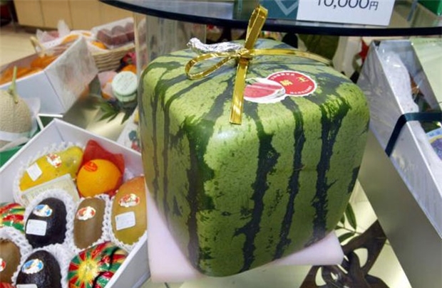 Những ý tưởng kinh doanh khôi hài ở châu Á