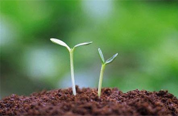 WB hỗ trợ các dự án hướng tới người thu nhập thấp