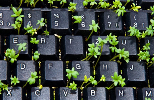 8 ý tưởng vàng trong kinh doanh trực tuyến