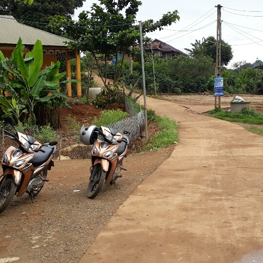 Chặt 200 cây cà phê, hiến 400m2 đất để cả bản cùng giàu