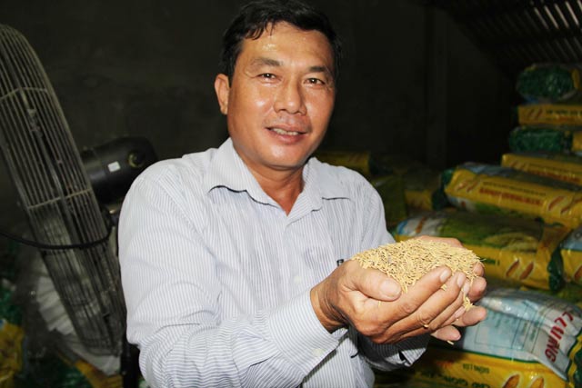 Làm giàu ở nông thôn: Ăn nên làm ra là nhờ lúa giống