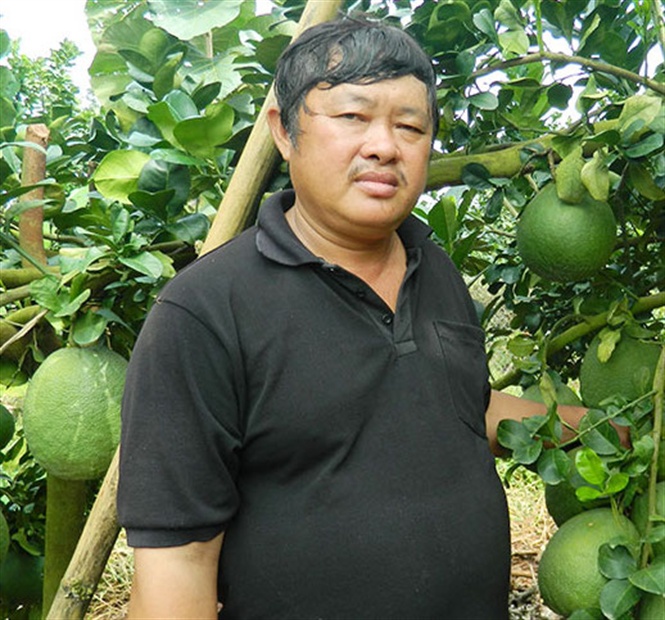 Trước khi thành tỷ phú bưởi da xanh, ông Lầu Sỹ Nịp từng trải qua nhiều thất bại