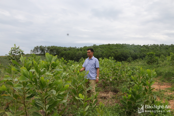 Quyết làm 'ông chủ giỏi' để 'chuộc' thời lầm lỡ