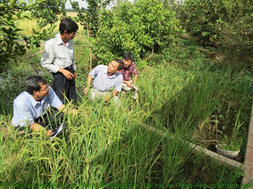 Đam mê tạo giống mới