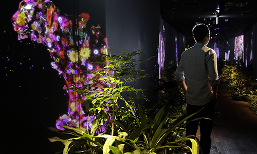 Từ ông trùm 'phim mát' thành tỷ phú Nhật