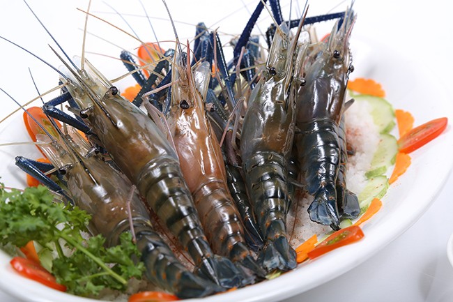 AFP: Nông dân Việt đổi đời nhờ nuôi tôm