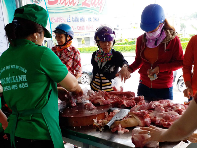Nuôi heo sạch, không lo đầu ra: Tự tin với 'công nghệ lạnh'