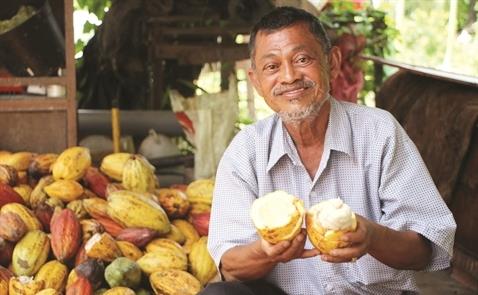 Ông già chocolate và hành trình khởi nghiệp ở tuổi 70