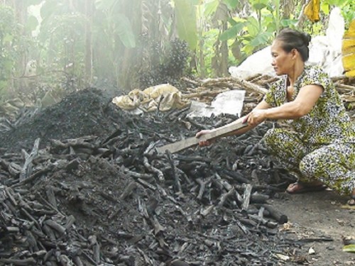 Tò mò nghề hầm than ở vùng đất “muỗi kêu như sáo thổi”