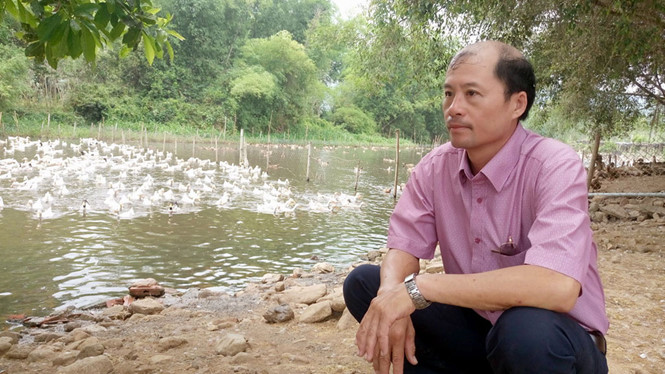 Nuôi vịt lãi tiền tỉ