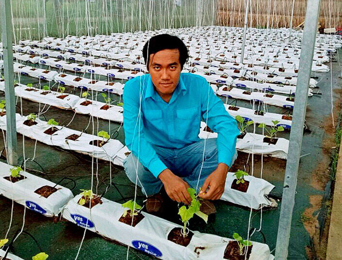 Mô hình rau sạch của anh kỹ sư dân tộc Khmer