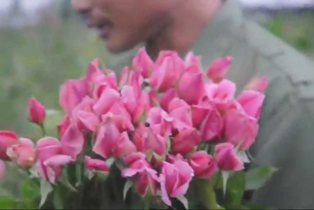 Sổ đỏ là đầu câu chuyện