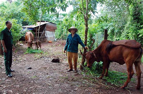 Người thương binh làm kinh tế giỏi, giàu lòng nhân ái