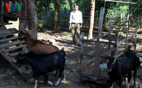 Nhiều tỷ phú nông dân xuất hiện từ phong trào xây dựng nông thôn mới